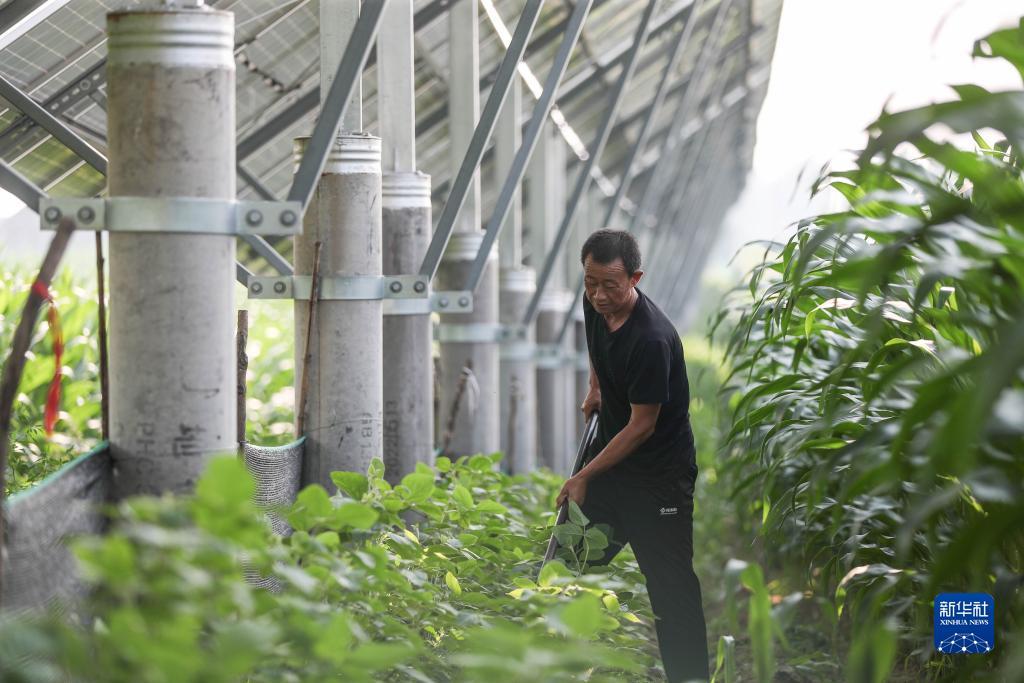 波克捕鱼为什么老掉线
